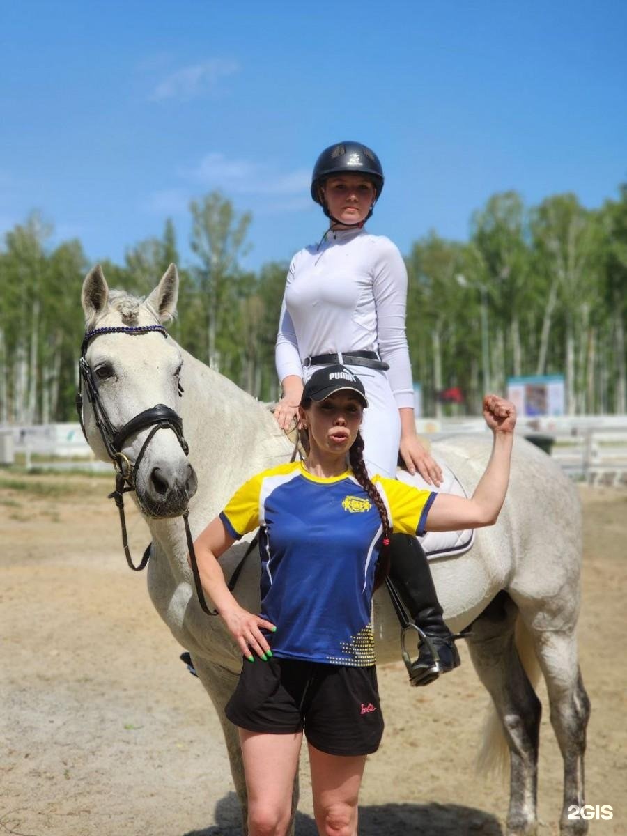 СШ по конному спорту