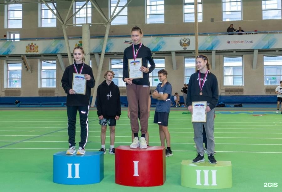 Художественная гимнастика